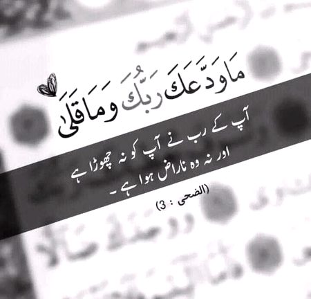 Islamic Quotes image