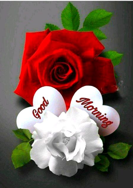 Beautiful Nature image