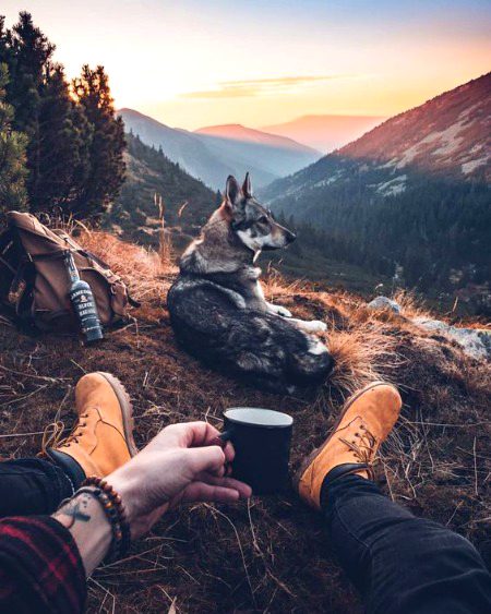 Beautiful Nature image