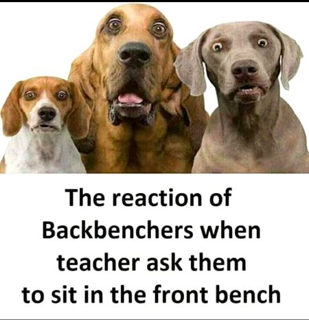 Memes & Satire image