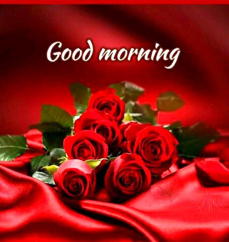 Good morning
