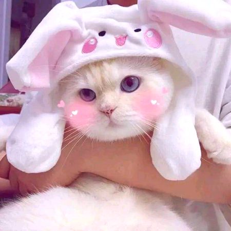 Beautiful Nature image