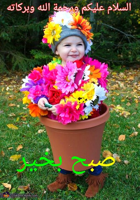 Good morning