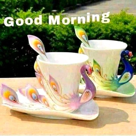 Good morning