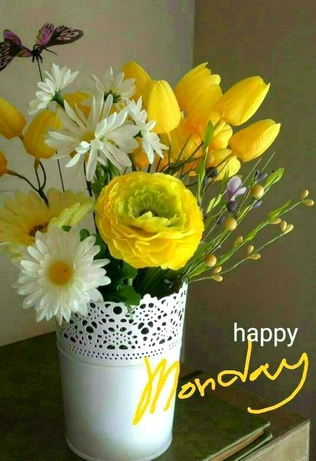 Good morning