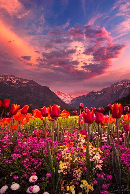 Beautiful Nature image