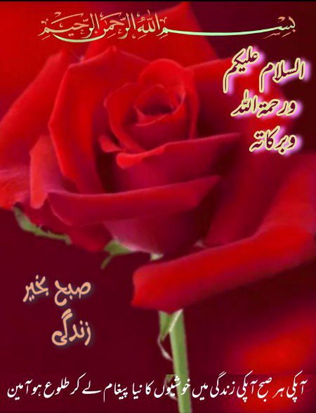 Good morning