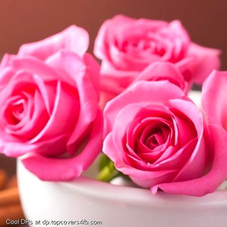 Beautiful Nature image