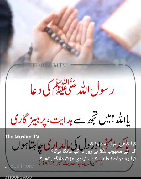 Islamic Quotes image
