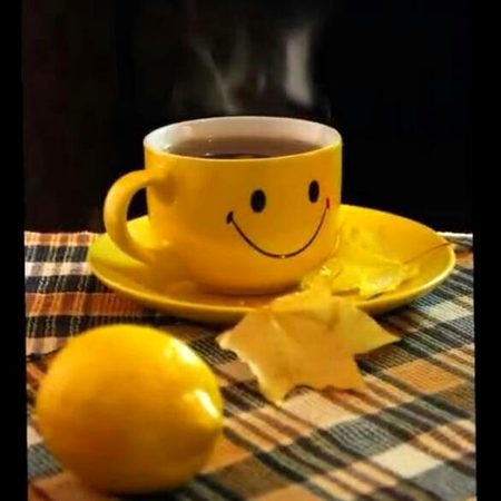 Good morning