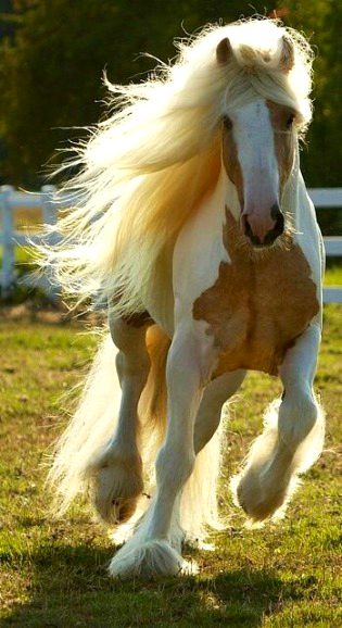 Beautiful Nature image