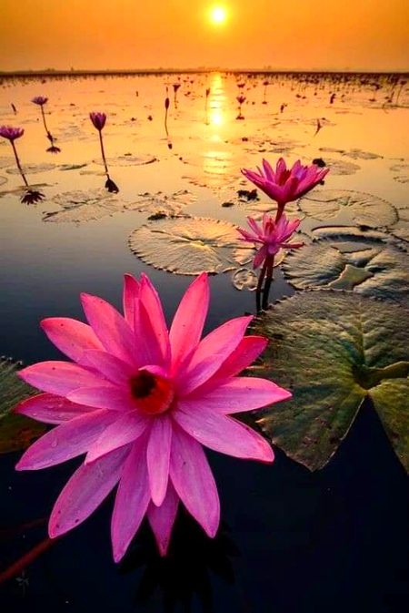 Beautiful Nature image
