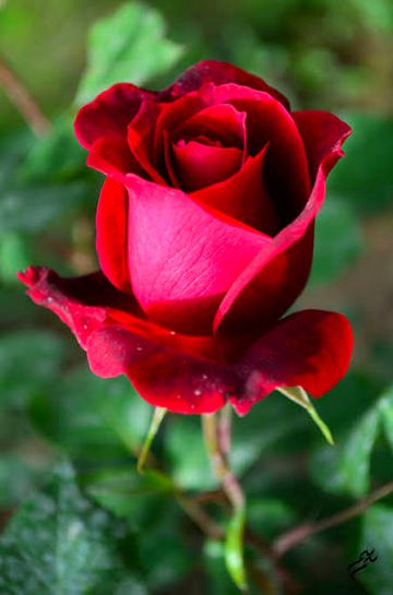 Beautiful Nature image