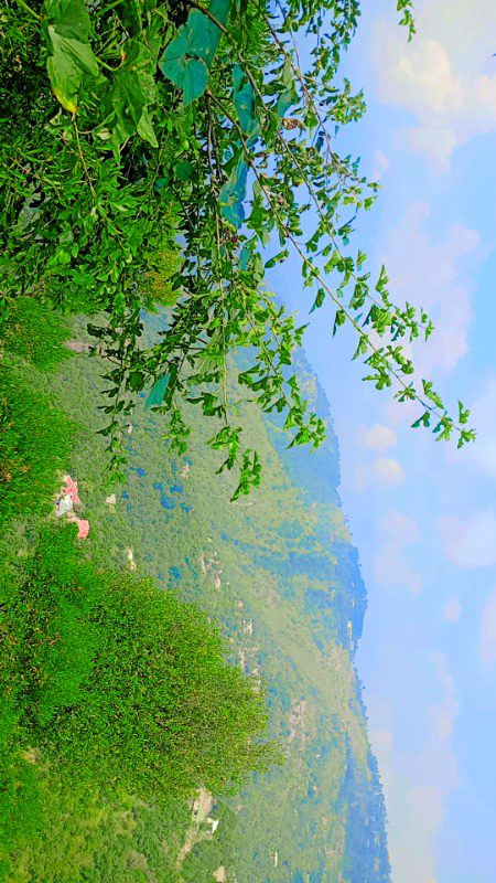 Beautiful Nature image