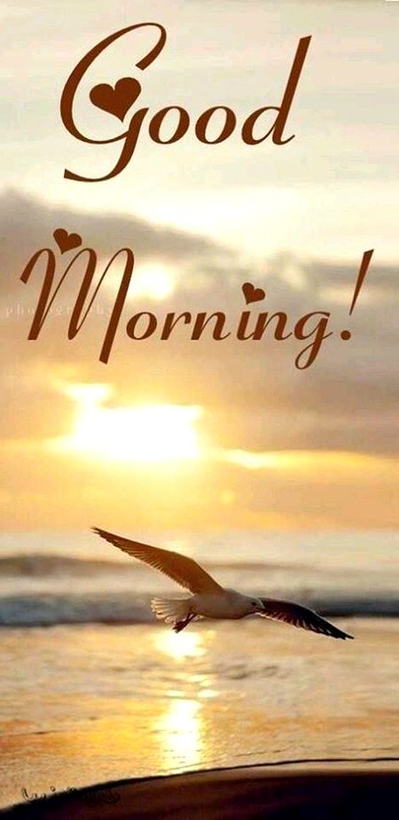 Beautiful Nature image