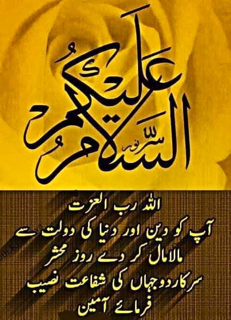 Good morning