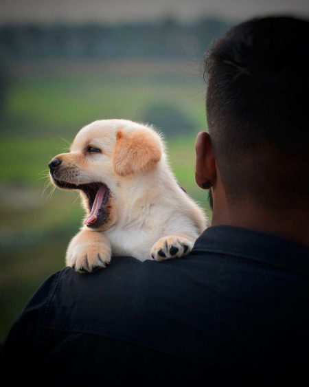 Beautiful Nature image