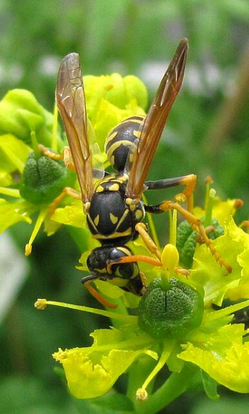 Beautiful Nature image