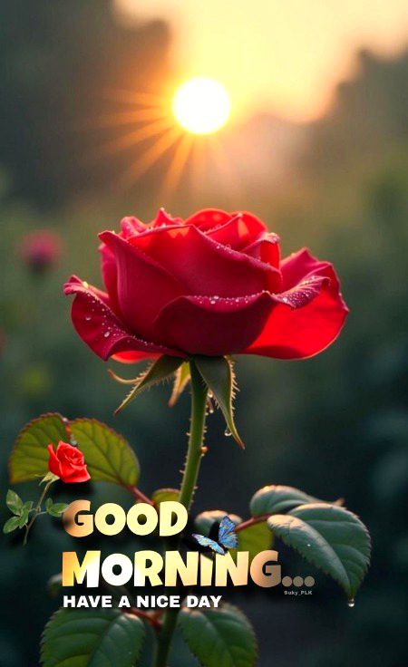 Good morning