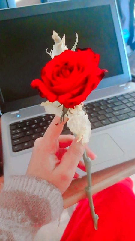 Beautiful Nature image