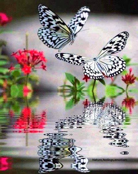 Beautiful Nature image
