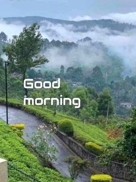 Beautiful Nature image