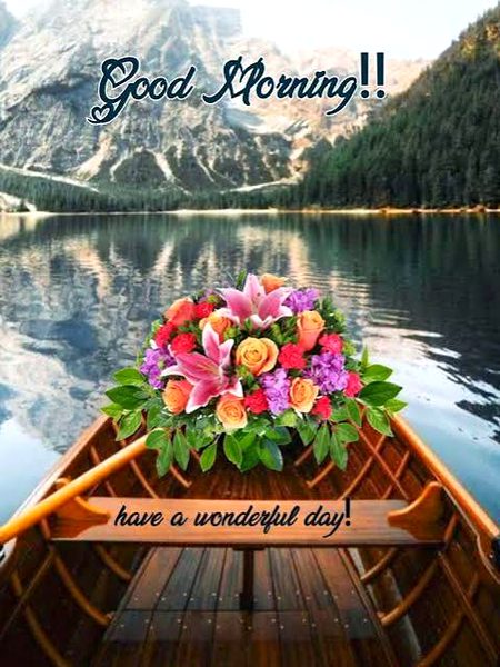 Beautiful Nature image