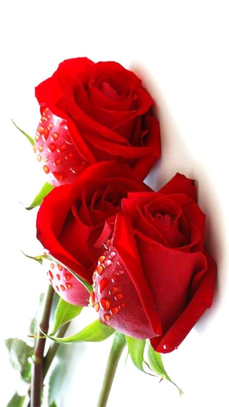 Beautiful Nature image