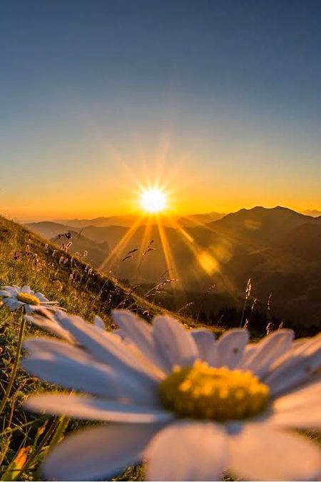 Beautiful Nature image