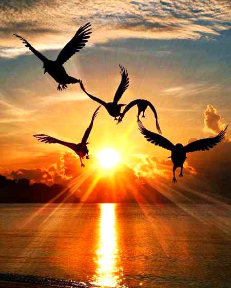 Beautiful Nature image