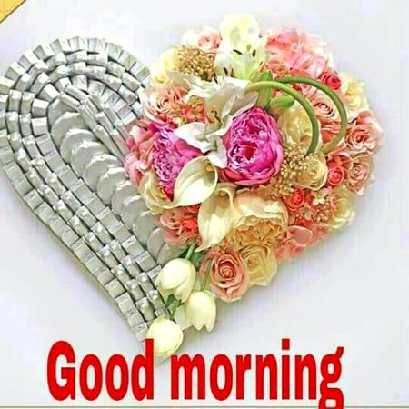 Good morning