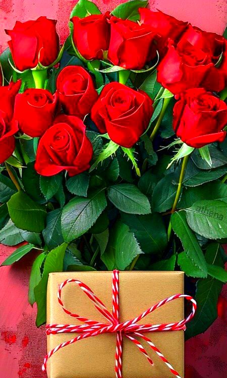 Beautiful Nature image