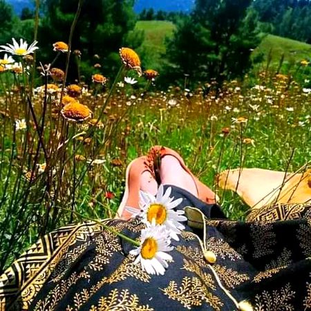 Beautiful Nature image