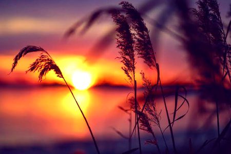Beautiful Nature image