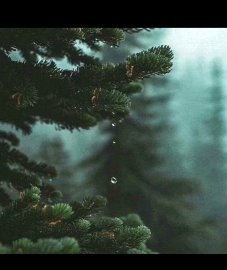 Beautiful Nature image