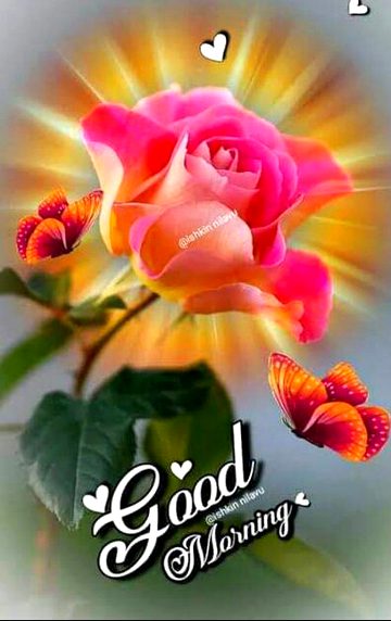 Beautiful Nature image