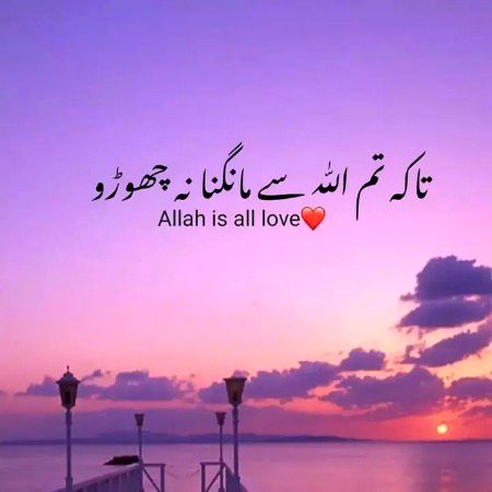 Islamic Quotes image