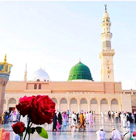 Beautiful Structures image