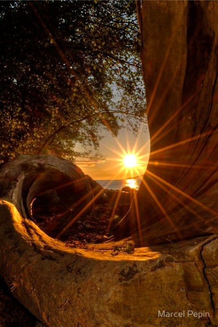 Beautiful Nature image