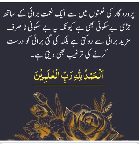Islamic Quotes image