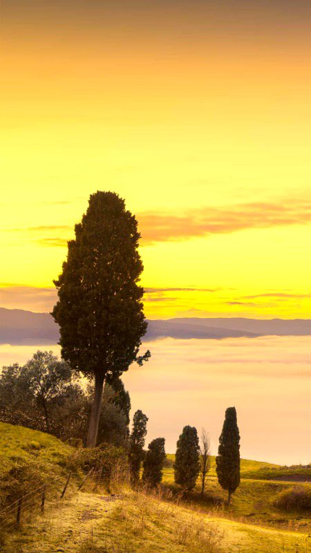 Beautiful Nature image