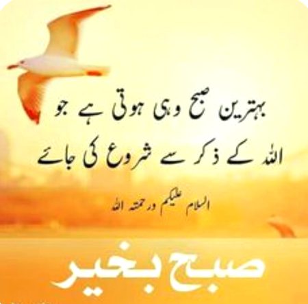 Good morning