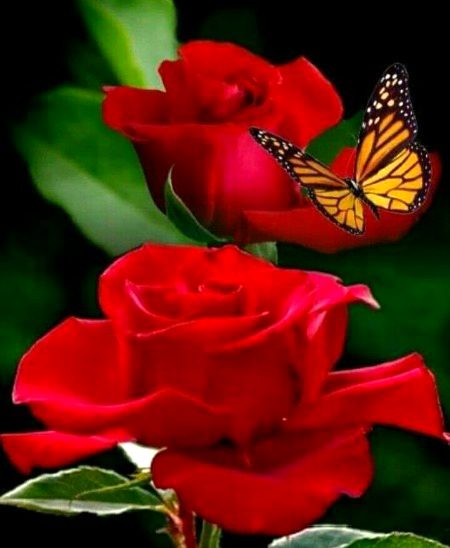 Beautiful Nature image