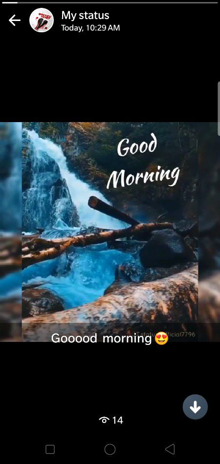 Good morning
