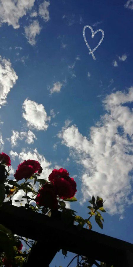 Beautiful Nature image