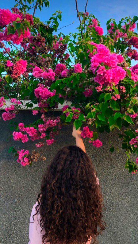 Beautiful Nature image