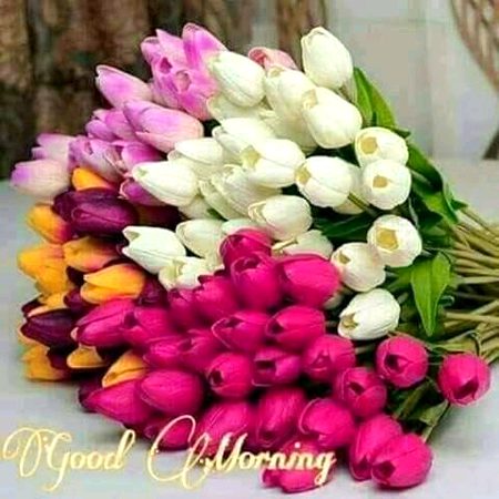 Good morning