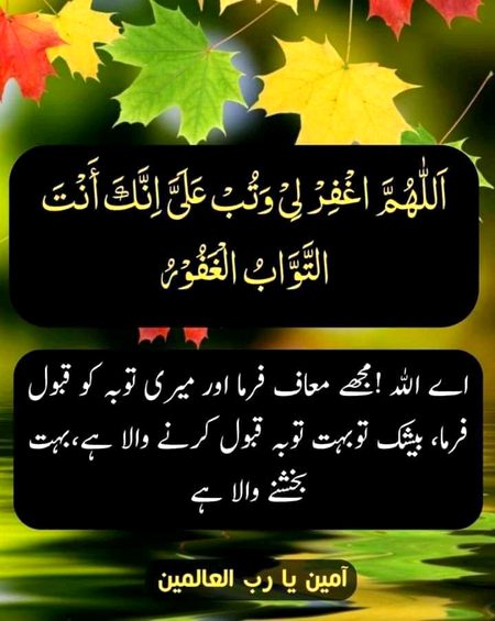 Islamic Quotes image