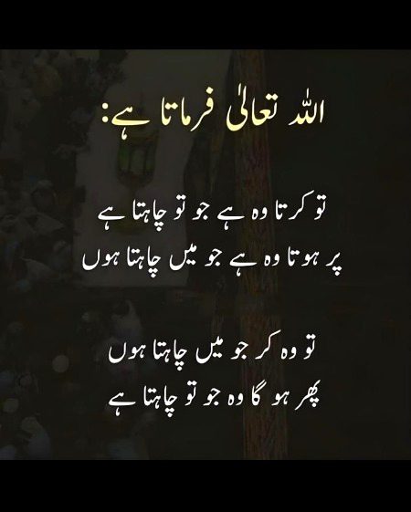 Islamic Quotes image
