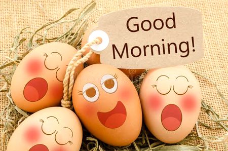Good morning